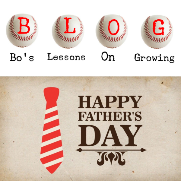 The Difference Between Being a Father and Being a REal Dad by Bo Porter